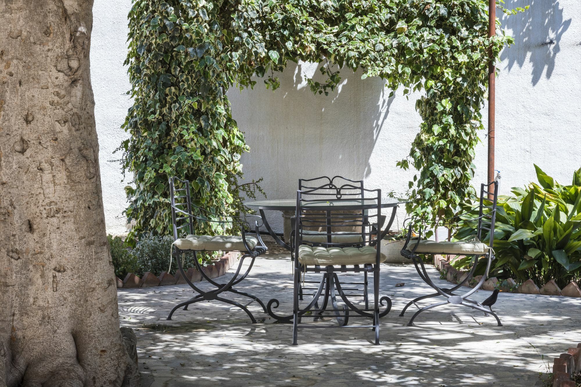 Giardini Mon Plaisir Hotel ตราปานี ภายนอก รูปภาพ